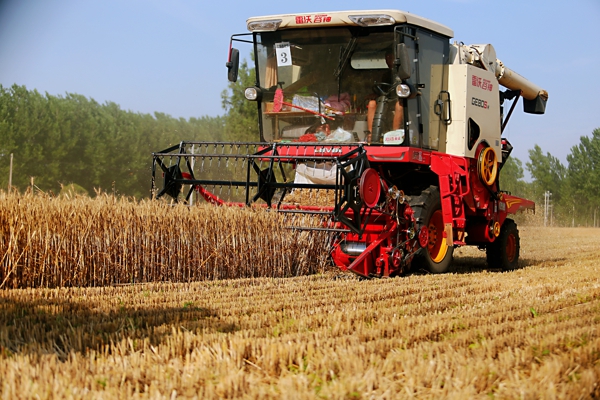 汝南县全力做好“三夏”生产 小麦已收获逾八成
