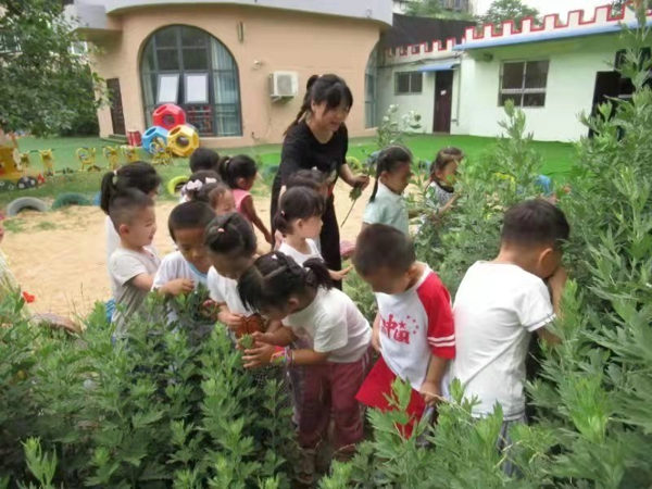 郑州南阳新村幼儿园 “传承端午节日文化”主题教育活动成功开展