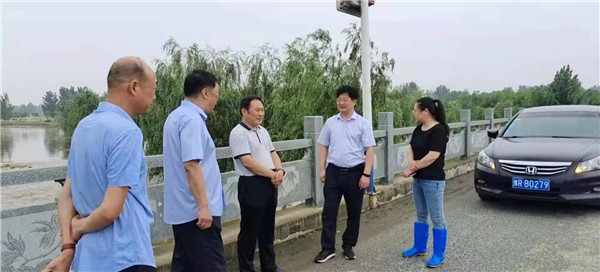 南阳宛城高庙镇：党群齐心排涝解民忧