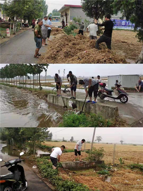 南阳宛城高庙镇：党群齐心排涝解民忧