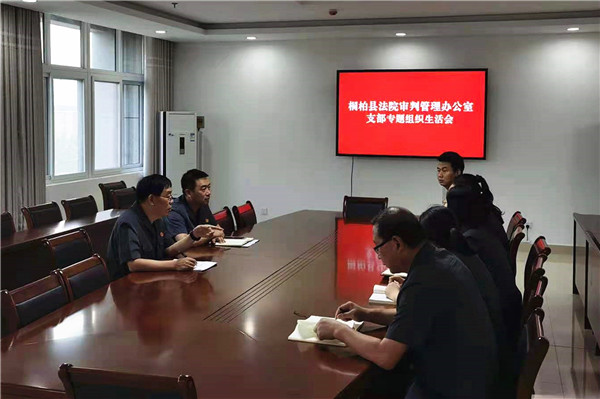 桐柏县法院各党支部召开“七一”前夕专题组织生活会