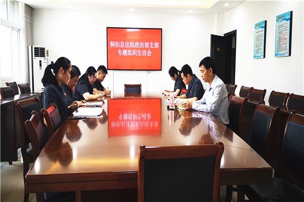 桐柏县法院各党支部召开“七一”前夕专题组织生活会