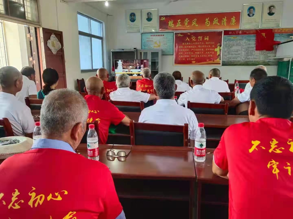 驻马店市驿城区水屯镇全体党员集中观看庆祝中国共产党成立100周年大会