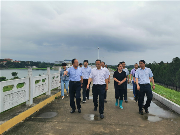 南阳卧龙区委书记吕志刚深入重点防汛部位检查督导防汛工作