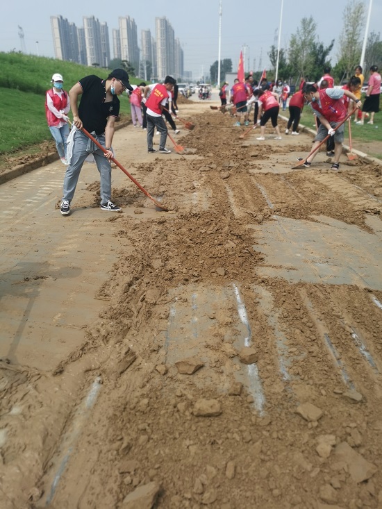 河南三百六信息技术有限公司党支部支援欢河村修复景观路