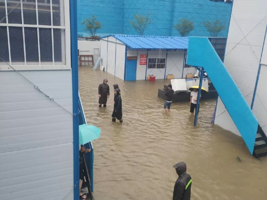 抗洪救灾，“返家乡社会实践”在行动！