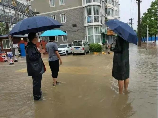 抗洪救灾，“返家乡社会实践”在行动！