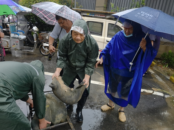 郑州高新区石佛办事处五龙口村迎战暴雨
