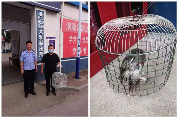 社旗县公安局：警民携手救助一只猫头鹰