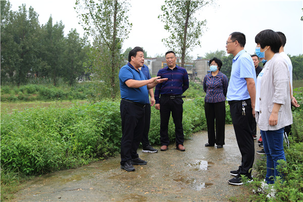 邓州市法院：院长奔赴责任河段 视察指导防汛工作