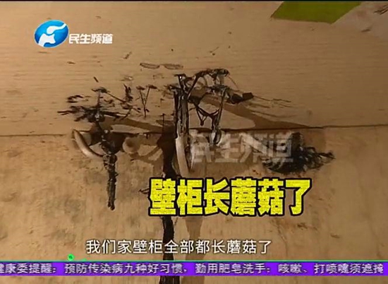 郑州思念果岭业主家泡水无法居住 物业：我也不太清楚