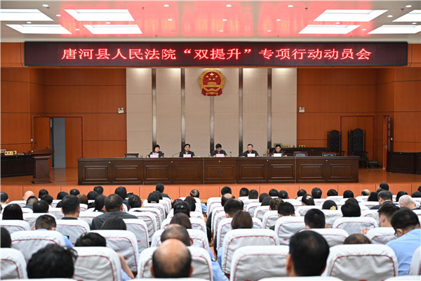 唐河县法院召开公众安全感和政法机关执法满意度“双提升”专项行动动员会