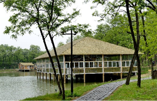溫泉木屋、水上船屋…… 河南覓庭建筑科技公司參與雁鳴蟹島鋼木混合結構項目