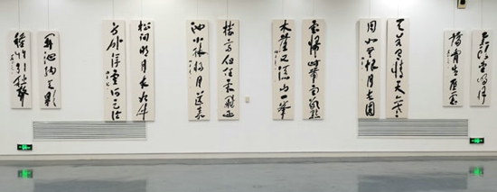 段正元书法作品展在河南省美术馆开幕 获众多名家点赞