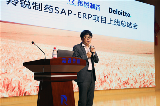 羚锐制药SAP-ERP项目正式上线