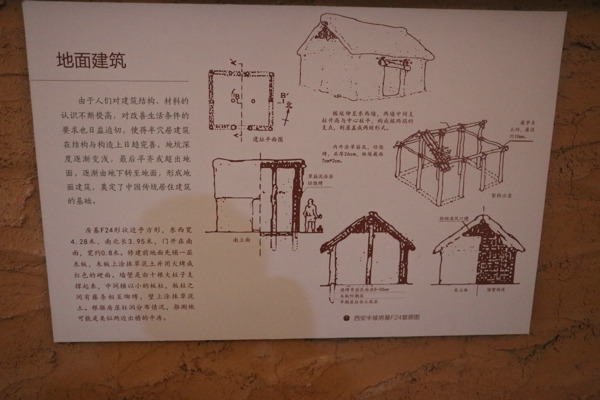 【母亲河畔的中国】走进郑州大河村遗址 探寻远古时代的神秘与多彩