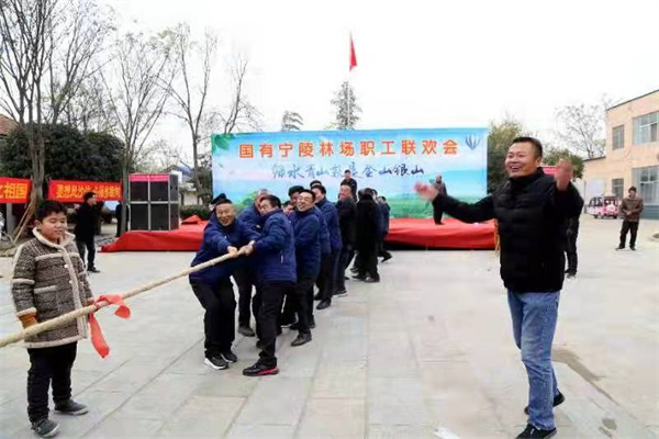 让绿水青山变成“金山银山”——宁陵国有林场改革转型实现绿色发展见闻