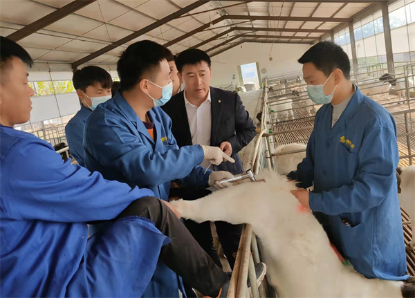 2021年豫东肉山羊新品种培育工作推进会在豫东牧业召开