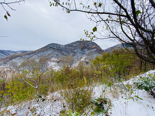 伏羲山迎2021年入冬第一场雪，漫山银装素裹