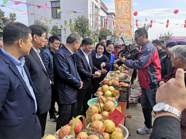 睢阳区临河店乡：打造特色产业“专业村”，跑出乡村振兴“加速度”