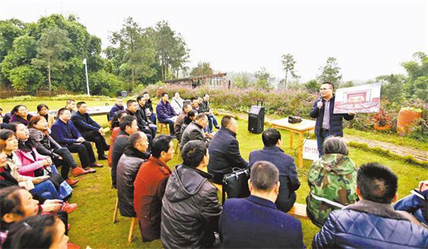 唐河苍台镇：脚踏实地加油干 乡村振兴立新功