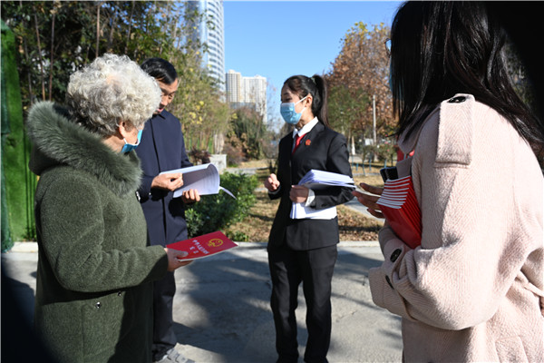 南阳高新区法院组织开展国家宪法日宣传活动