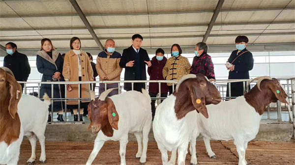豫东牧业有限公司举办山羊养殖技术培训班