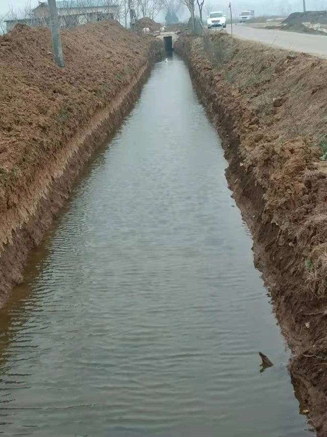 邓州市高集镇赵坡村：中药材种植为乡村振兴注入“源头活水”