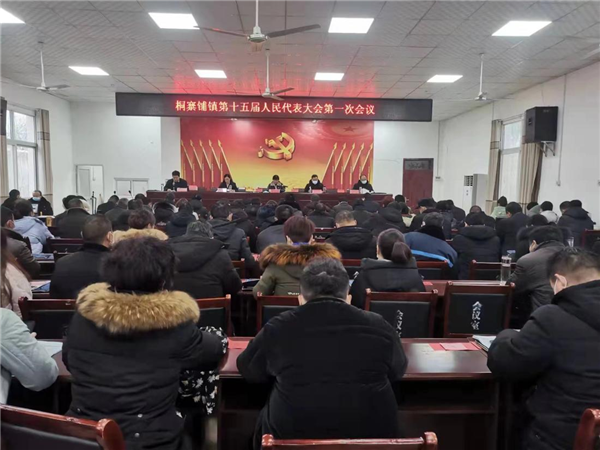唐河桐寨铺镇召开第十五届人民代表大会第一次会议