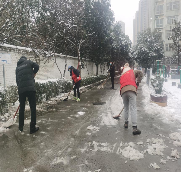 郑州高新区石佛办事处西湖春天社区开展清理道路积雪活动