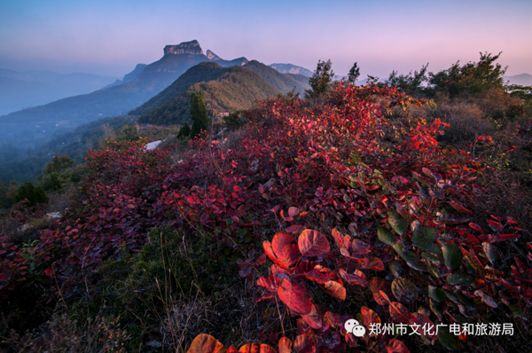 郑州景区免票活动持续至三月底，提醒您提前预约，错峰出行