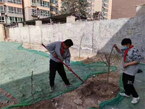 梁园区锦绣路小学：爱护绿色家园 从我做起