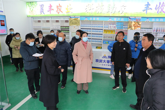 河南省绿色食品发展中心领导到小蓝帽增产药品牌店考察