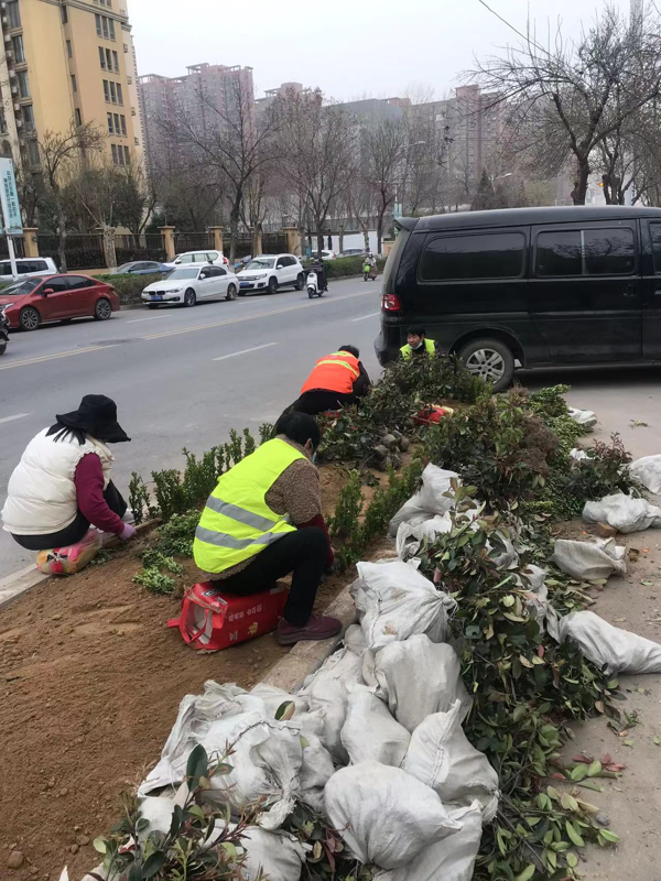 郑州市丰庆路街道“串珠成链” 让群众共享绿色“芯”生活