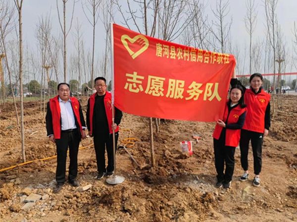 唐河县农信联社：组织开展“植树节”活动