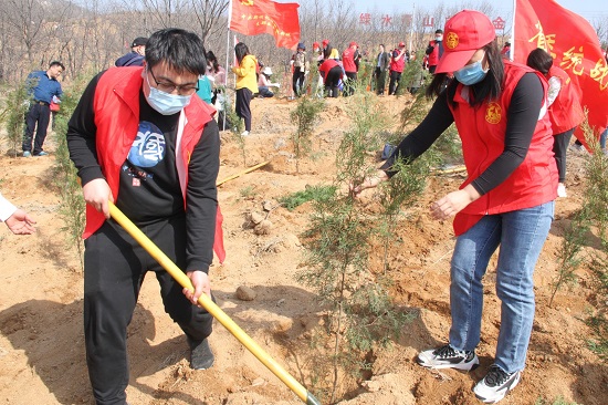 河南省委统战部开展义务植树活动