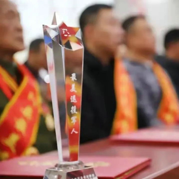 河南省宜阳县举办首届“最美退役军人”表彰大会