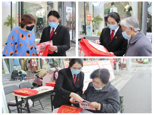 内乡县法院开展全民国家安全教育日宣传活动