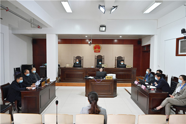 唐河县法院邀请市县人大代表进站履职