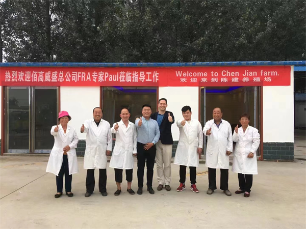 河南宁陵：“鸡保姆”的腾飞梦