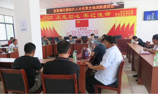 邓州市夏集镇人大代表建言献策谋发展