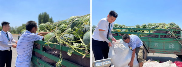 碧桂园中央公园爱心助农公益行，万斤西瓜传递幸福的味道