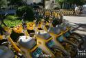 哈啰城市经理划破70辆美团电单车坐垫 被行政拘留10日