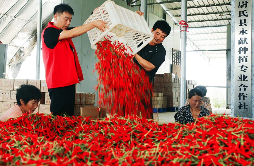E-commerce helps promote agricultural products in central China’s Henan