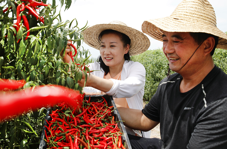 E-commerce helps promote agricultural products in central China’s Henan