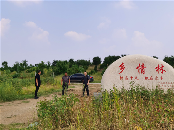 镇平县法院：助优营商环境  守护青山绿水