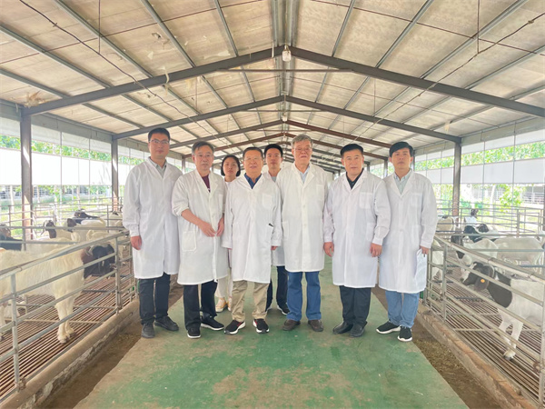 中国农业科学院北京畜牧兽医研究所杜立新教授一行到豫东牧业指导国家羊核心育种场创建工作
