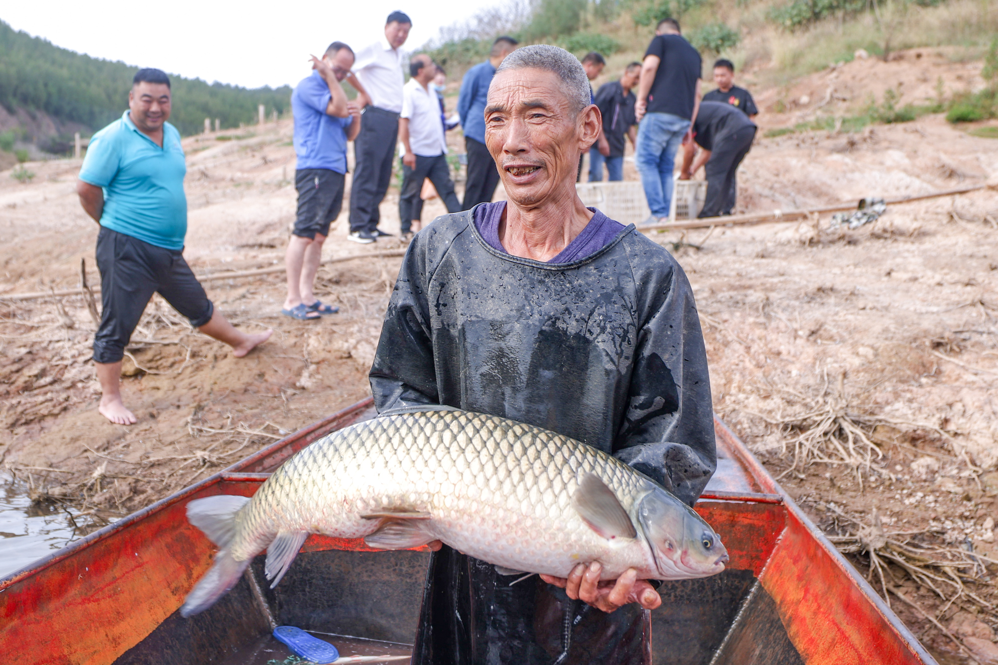 渔获满仓丰收忙 丹江湖畔“号子”响