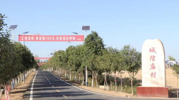邓州市夏集镇：用好党建“指挥棒”打造产业“增长极”