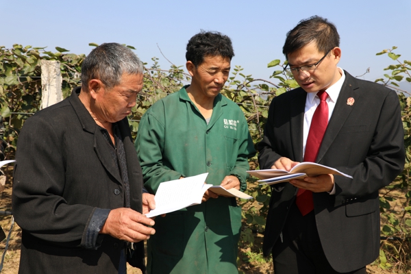 西峡县法院编印发放《猕猴桃产业法律风险防范指引》